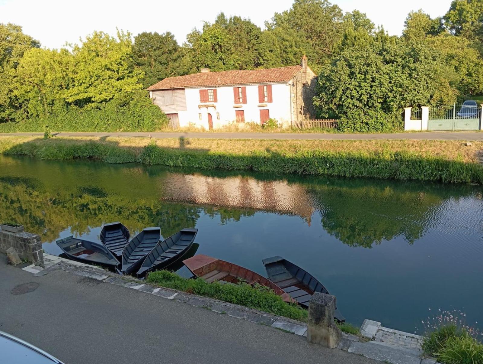 Au Bord De L'Eau Coulon公寓 外观 照片